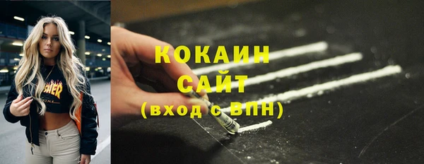 jwh Ельня