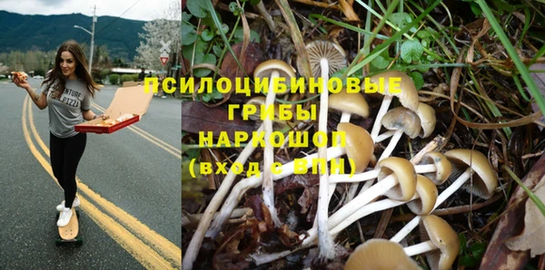 jwh Ельня